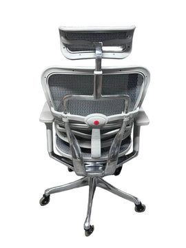 Grey Mesh Ergonomic Chair with Headrest