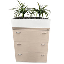 Load image into Gallery viewer, Drawers and Planter Box
