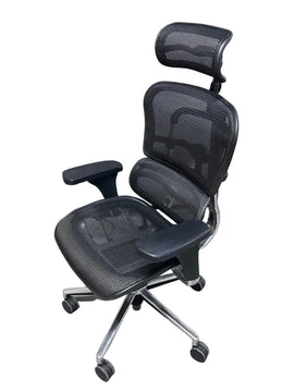 Black Mesh Ergonomic Chair with Headrest